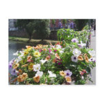 Strasbourg by day, flowers post cards