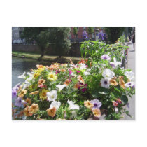 Strasbourg by day, flowers post cards