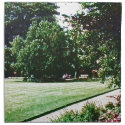 Stratford-upon-Avon England Garden snap-28838 jGib