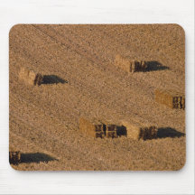 Straw bales in field mouse pads