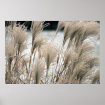 Straw in winter posters