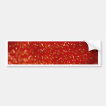Strawberries #3 bumper stickers