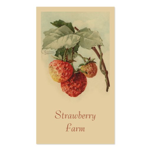 Strawberries fruit sales business cards (front side)