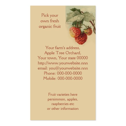 Strawberries fruit sales business cards (back side)