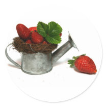 strawberries in a small watering can stickers by mag26s strawberries in a small watering can stickers