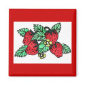 Strawberries magnets