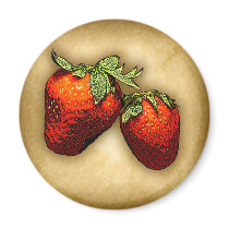 Strawberries Refrigerator Magnets