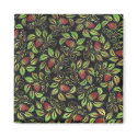 strawberries magnets