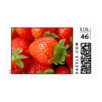 Strawberries postage by DoodleBugTees Strawberries postage