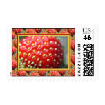 Strawberries Postage Stamps
