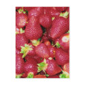 Strawberries postcards