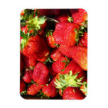 Strawberries Rectangle Magnet