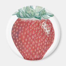 Strawberry Art Magnet