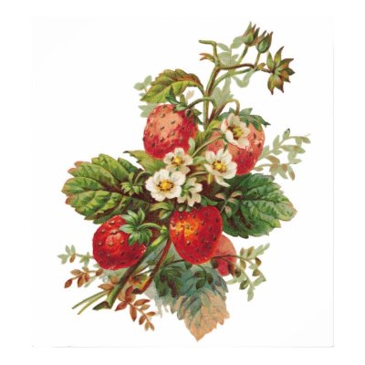 Strawberry Blooms Customizable Poster by vintagegiftmall