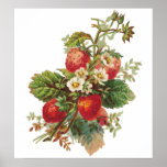 Strawberry Blooms Customizable Poster posters