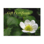 strawberry, flower, floral, flowers, gift