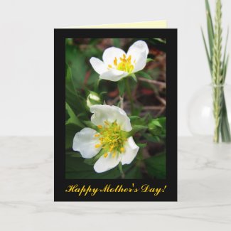 Strawberry Blossoms for Mother's Day zazzle_card