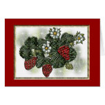 Strawberry cards