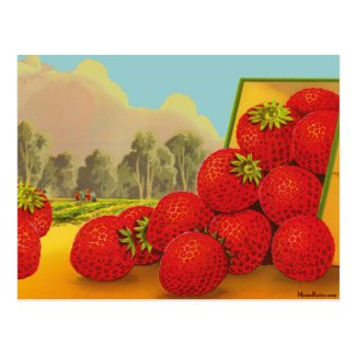 Strawberry Crate Art Custom Recipe Card Postcard