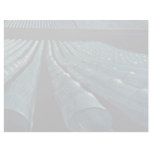 Strawberry farm, Lilydale, Victoria, Australia Custom Letterhead