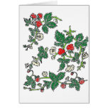 Strawberry Fields Cards Strawberry Fields Cards