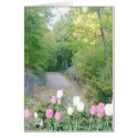 Strawberry Fields, Central Park cards by moxieann Strawberry Fields, Central Park cards