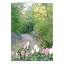 Strawberry Fields, Central Park cards