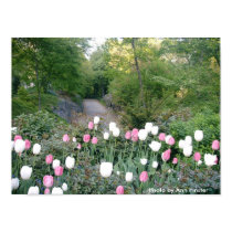Strawberry Fields in April 2005 posters by moxieann Strawberry Fields in April 2005 posters