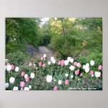 Strawberry Fields in April 2005 posters