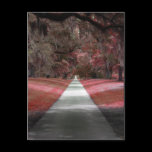 Strawberry Fields postcards