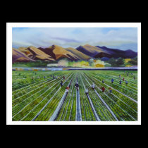 Strawberry Fields postcards