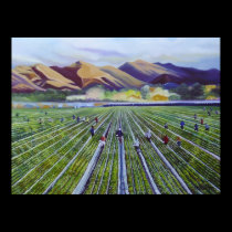 Strawberry Fields Posters posters