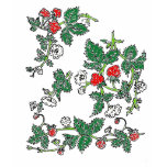 Strawberry Fields