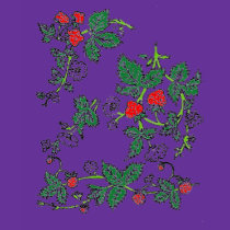 Strawberry Fields t-shirts