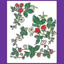 Strawberry Fields t-shirts