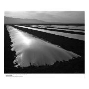 Strawberry Fields with Plastic Fumigation Covers print