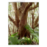 Strawberry Guava Tree and Palms Greeting Cards