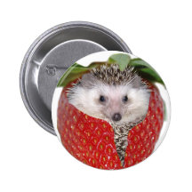 Strawberry Hedgie Pins