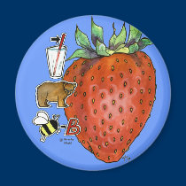 Strawberry magnets