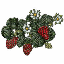 Strawberry Magnet Acrylic Cut Out
