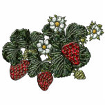 Strawberry Magnet photo sculptures