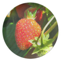 Strawberry Patch Plate