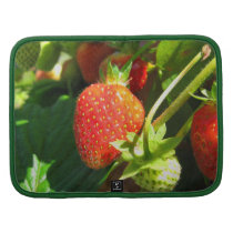 Strawberry Patch Rickshaw Folio Folio Planners