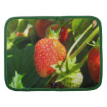 Strawberry Patch Rickshaw Folio Folio Planners