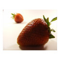 Strawberry Perspective posters