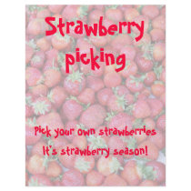Strawberry picking flyers