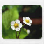 Strawberry Plant Flowers Mouse Mats