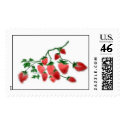 strawberry postage