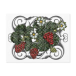 Strawberry Postcards