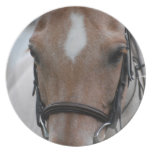 Strawberry Roan Horse Plate